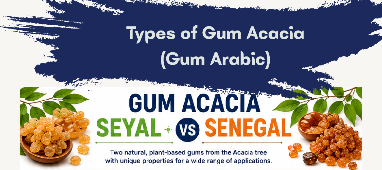 Gum Acacia Seyal vs. Gum Acacia Senegal